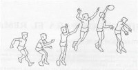 /album/nancyvoleibol/v4-jpg/